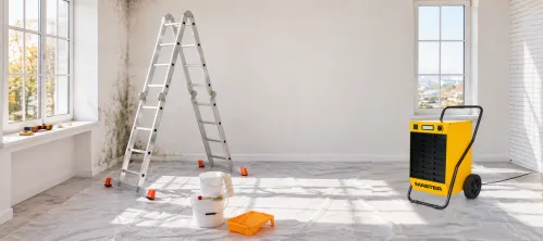 Project - Jak vzniká plíseň na stěnách? 3 příčiny a trvalé řešení